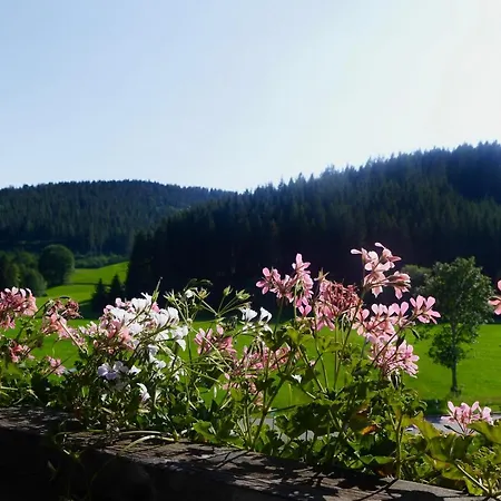 Landgasthof Jostalstüble Titisee-Neustadt