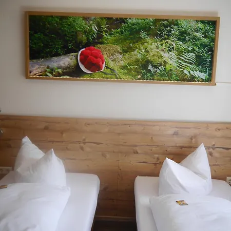 Hotel Landgasthof Jostalstüble Titisee-Neustadt